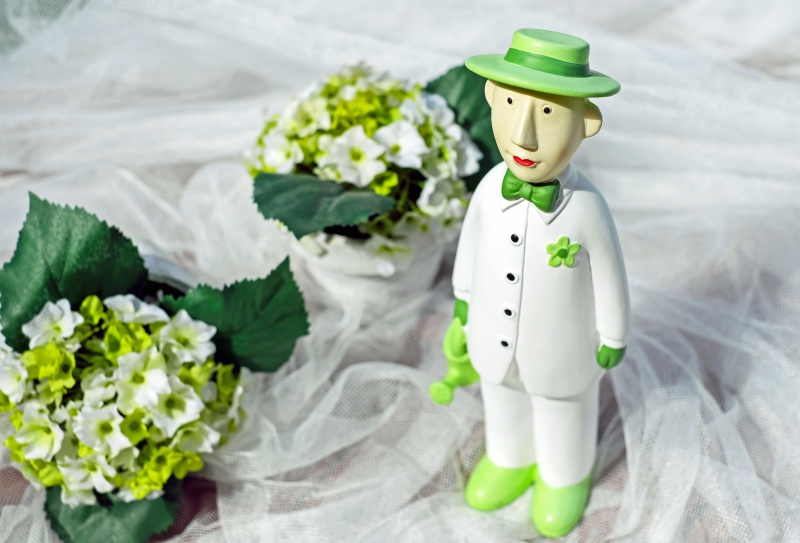 boutique-RIMPLAS-min_man-person-flower-green-toy-fig-546529-pxhere.com